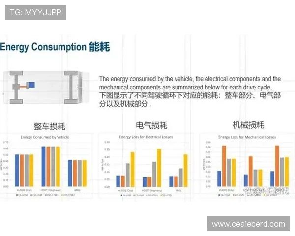 杭州网球队节奏表现分析与战术优化探讨