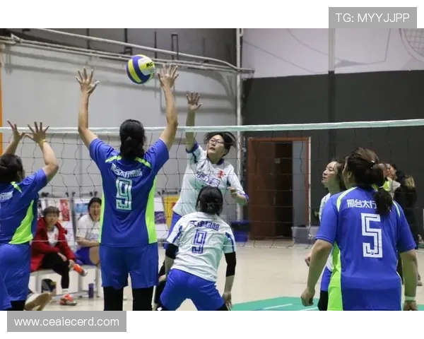 权威发布：2023年排球配合实力榜单全面解析与评比