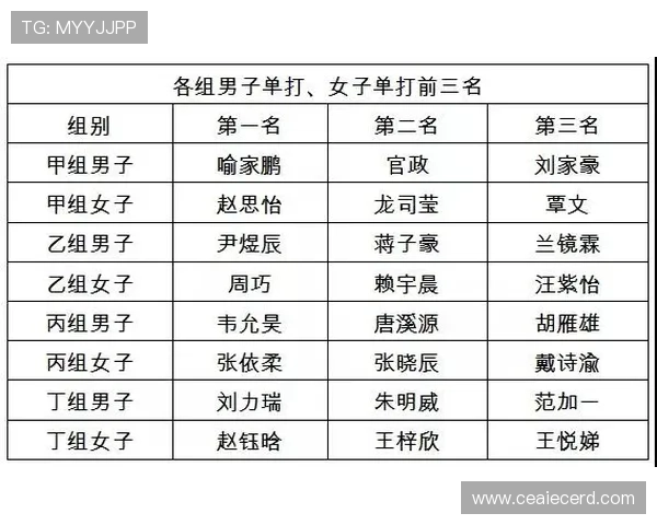 北京乒乓球队的控制策略与发展动态深度解析