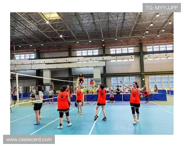 杭州排球队在全国排球配合排行榜中荣获第十名的佳绩引发关注
